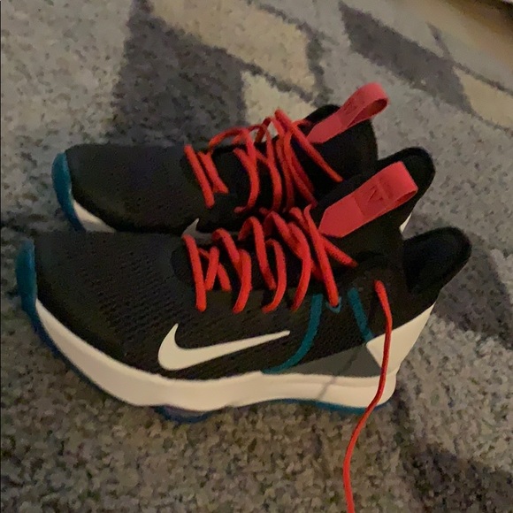 LeBron witness IV